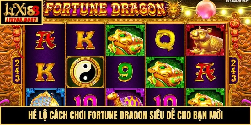 Hé lộ cách chơi Fortune Dragon siêu dễ cho bạn mới