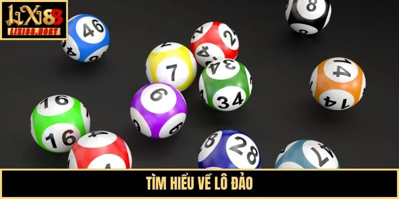 Tìm hiểu về lô đảo